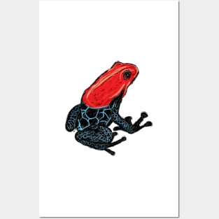 Artwork of a Poison Dart Frog III Posters and Art